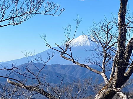 2023.12.25丹沢大倉山　加入道山から富士山.jpg